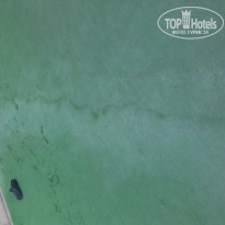 фото из отзыва ID 1403774