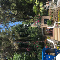 фото из отзыва ID 1403804