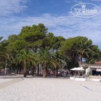 фото из отзыва ID 1403842