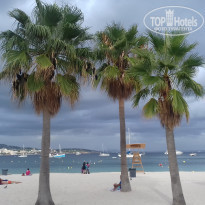 фото из отзыва ID 1403842