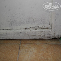 фото из отзыва ID 1403863