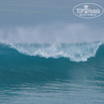 фото из отзыва ID 1403907