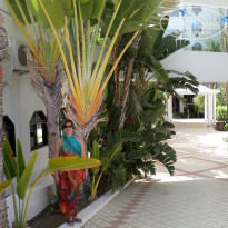 фото из отзыва ID 1403907