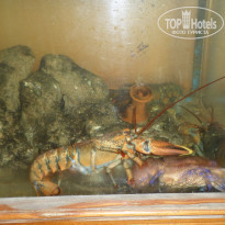 фото из отзыва ID 1403907