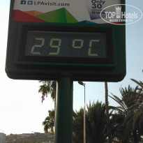 фото из отзыва ID 1403907