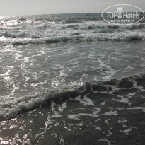 фото из отзыва ID 1403907