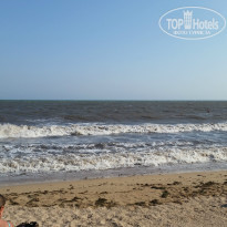 фото из отзыва ID 1402129