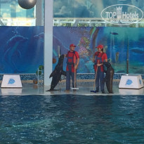 фото из отзыва ID 1402129