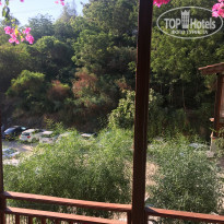 фото из отзыва ID 1403804