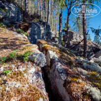 фото из отзыва ID 1404107