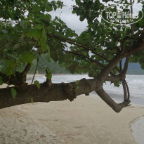 фото из отзыва ID 1404189