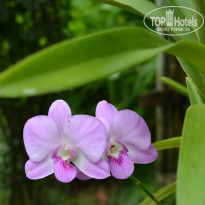 фото из отзыва ID 1402948