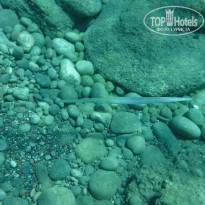 фото из отзыва ID 1404274