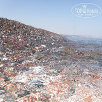 фото из отзыва ID 1404274