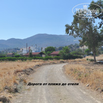 фото из отзыва ID 1404274