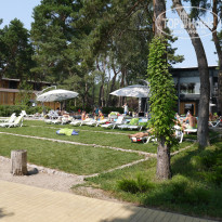 фото из отзыва ID 1404492