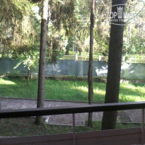 фото из отзыва ID 1404526