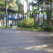 фото из отзыва ID 1404526