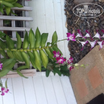 фото из отзыва ID 1404586