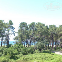 фото из отзыва ID 1404596