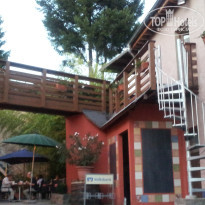 фото из отзыва ID 1404676