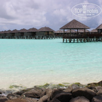 фото из отзыва ID 1404897