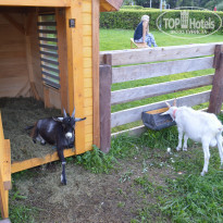 фото из отзыва ID 1405052