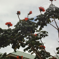 фото из отзыва ID 1405097