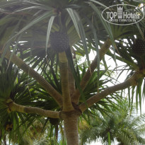 фото из отзыва ID 1405111