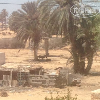 фото из отзыва ID 1405072