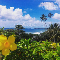 фото из отзыва ID 1405120