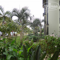 фото из отзыва ID 1405145