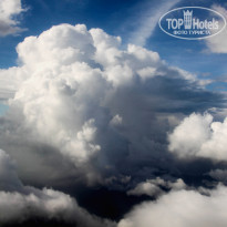 фото из отзыва ID 1405151