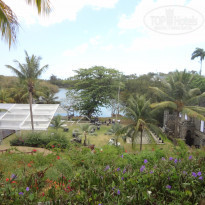 фото из отзыва ID 1405152