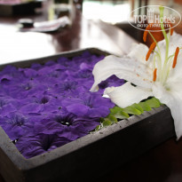 фото из отзыва ID 1405152