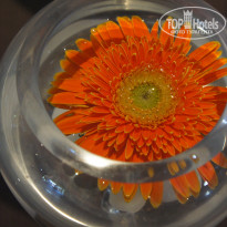 фото из отзыва ID 1405152