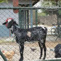 фото из отзыва ID 1405152