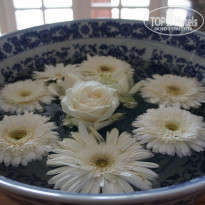 фото из отзыва ID 1405152