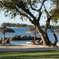 фото из отзыва ID 1405157