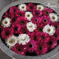 фото из отзыва ID 1405180