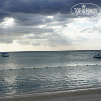 фото из отзыва ID 1405180