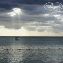 фото из отзыва ID 1405180