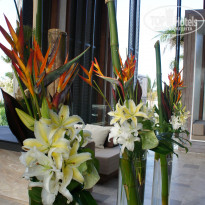 фото из отзыва ID 1405216