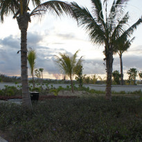 фото из отзыва ID 1405216