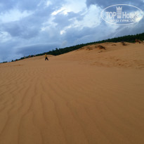 фото из отзыва ID 1405236