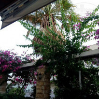 фото из отзыва ID 1405298