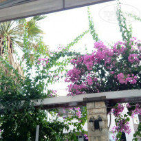 фото из отзыва ID 1405298