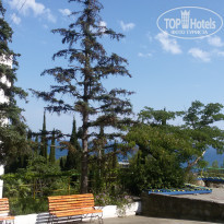 фото из отзыва ID 1405318