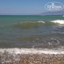 фото из отзыва ID 1405528