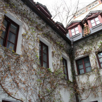 фото из отзыва ID 1405235